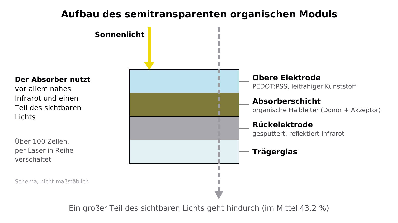 Schichtaufbau eines semitransparenten organischen Solarmoduls: obere Elektrode aus PEDOT:PSS, organische Absorberschicht, gesputterte Rückelektrode, Trägerglas